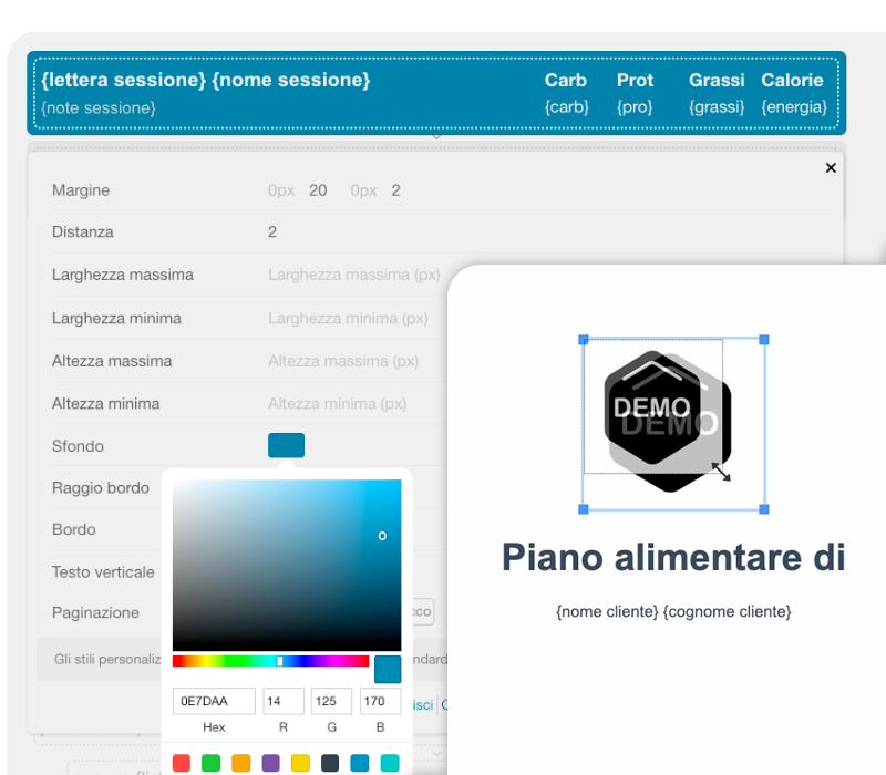 Stampa e branding personalizzati dei piani alimentari nel software Fiber per nutrizionisti e coach sportivi